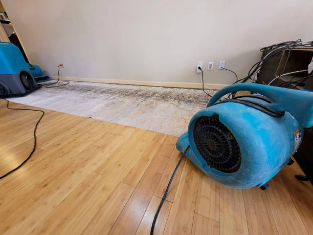 Reliable Basement Flood Cleanup contractor in Mapleton, UT by Hirex Water Damage
