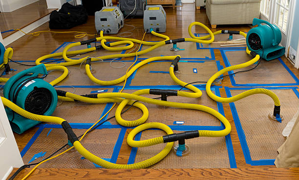 Professional Basement Flood Cleanup technician working in Mapleton, UT